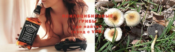мяу мяу мука Алексеевка