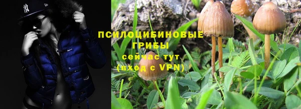 твердый Алексин